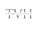 transvideohub